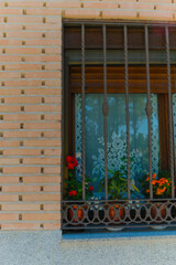 Brick wall with window and flowers