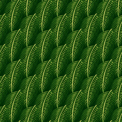 Hawaii seamless pattern with nature botanical fern ornament. Green foliage tropical elements.