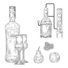 Set of schnapps. Germany traditional alcohol drink. Bottle, glass, alembic, raspberry, apple, pear. - obrazy, fototapety, plakaty