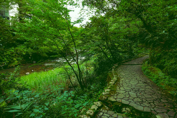 石川県加賀市にある観光地、鶴仙渓の遊歩道