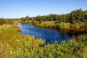 Wild stream in Wausau, Wisconsin in August