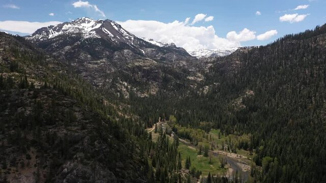 Sierra Green Meadow & Snowy Mountain Peak