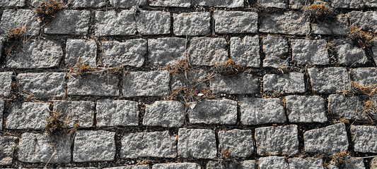 old texture by paved street 