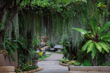 Obraz premium Beautiful garden with arch door decoration