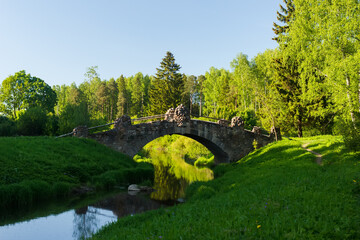 Fototapeta premium Novosilvia bridge in Pavlovsky park