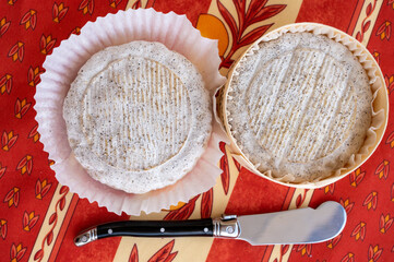 Taste of Provence, small round cheese Tome de Provence made from goat milk in Banon,...