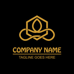 Vector design elements for your company logo, pentagon logo and gold fused rope, modern, simple and minimalist logotype, business company template