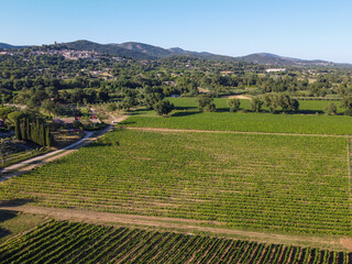 Wine making in  department Var in  Provence-Alpes-Cote d'Azur region of Southeastern France, vineyards in July with young green grapes near Saint-Tropez, cotes de Provence wine, aerial view