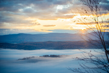 Obraz premium landscape with fog