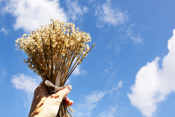 A woman's hand holds a bouquet of dried flowers against a blue sky with some fluffy clouds 