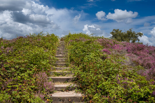Nature reserve, De Renderklippen, Heerde - Epe, Gelderland Province, THe Netherlands