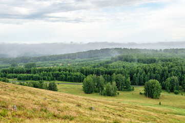 Obraz premium Clouds above the Forest after rain