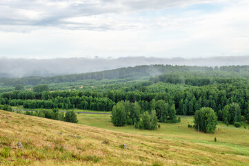 Clouds above the Forest after rain