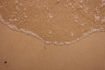 Golden yellow clean sand and a wave of water, the sea from the edge. The coastal strip.