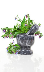 The Common Comfrey (Symphytum officinale) herb in a black stone mortar isolated on a white background.