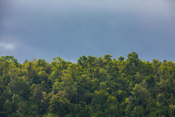 Island skyline covered with tropical jungle, on a cloudy day, Raja Ampat, West Papua, Indonesia
