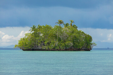 Small paradise island, covered with tropical forest, surrounded by blue water on a cloudy day, Raja Ampat, West Papua, Indonesia