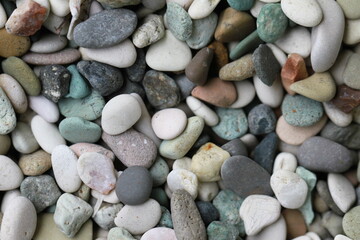 Green fresg grass and color full flowers