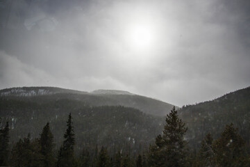 A misty, wide shot of a landscape with snow on winter mountains and pine trees