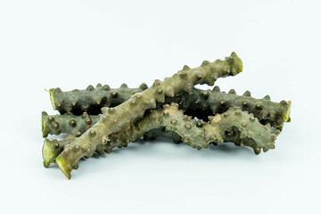 Tinospora cordifolia herb isolated on white background.