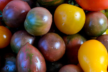 Ripe sweet small tomatoes