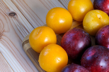 Ripe sweet plums of different varieties