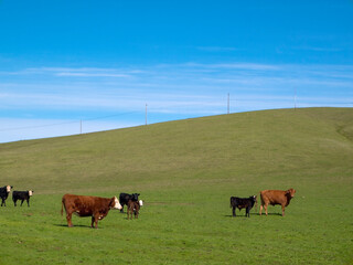 Ranch from days gone by, Folsom, California