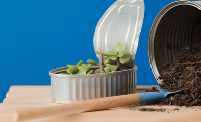 Group of recycled cans. two recycled cans on wooden boards blue background.