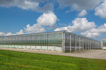 Fototapeta na wymiar Agriculture in Netherlands, big glass greenhouses used for growing organic vegetables and fruits, Zeeland