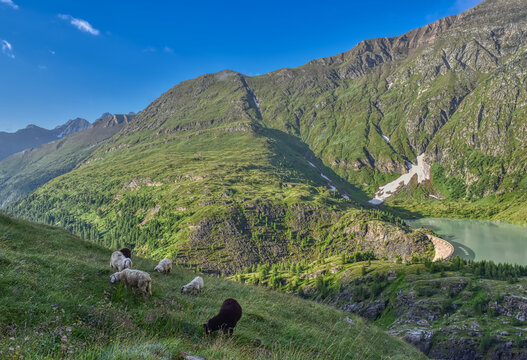 Margaritze, Talwanne, Margaritzenstausee, See, Stausee, Freiwandeck, Freiwandkopf, Pasterze, h&ouml;chster Berg &Ouml;sterreichs, Glocknergruppe, M&ouml;ll, M&ouml;llsperre, Margaritzensperre, Wasser, Pasterzengletscher,
