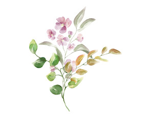 Watercolor floral bouquet illustration. Isolated on white background.