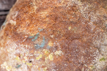 A loaf of bread covered with mold, top view