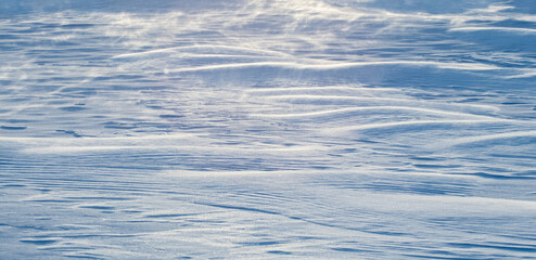 Snowy background, snow-covered wavy surface of the earth after a blizzard in the morning in the sunlight