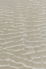 Sand Patterns - The tide and wind are constantly creating new patterns on the ocean beaches