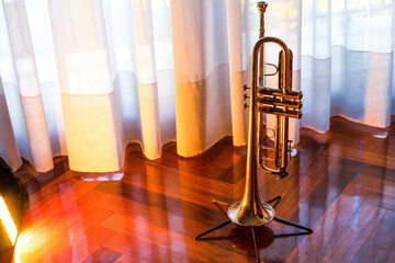 trumpet on wooden floor