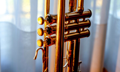 trumpet pistons © carlos