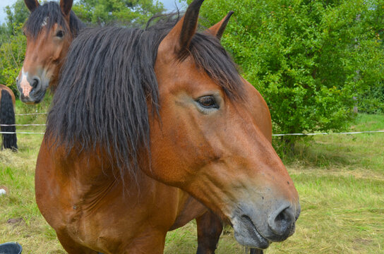 Wallach 이미지 찾아보기 3,291 스톡 사진, 벡터 및 비디오 Adobe Stock