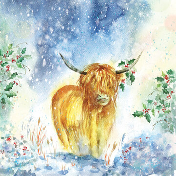 Watercolor painting of highland cow in winter scene with snowfall and holy tree. Christmas card template.