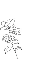 Botanical plants line