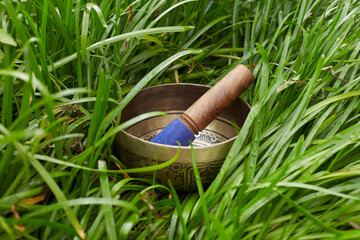 Tibetian singing bowl nature background with green grass 