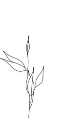 Obraz premium Botanical plants line