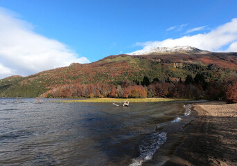 View of Lake Falkner, the sandy beach, mountains and forest in autumn, in San Martín de los Andes,...