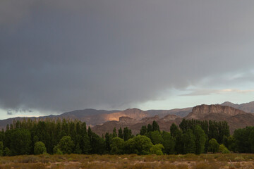 Beautiful view of the desert, field, mountains and green forest at sunset in Uspallata, Mendoza, Argentina.