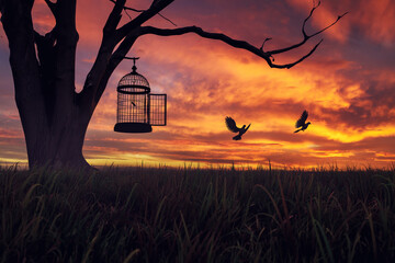 Dove birds escaping or released free from cage, hanging on a tree at sunset. 3D Illustration