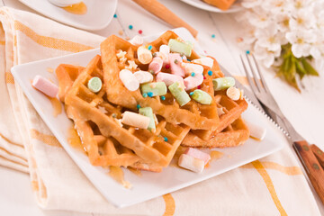 Waffles with colourful marshmallow.