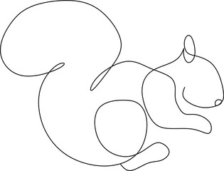 Squirrel
