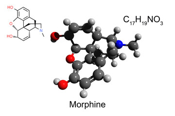 Chemical formula, skeletal formula and 3D ball-and-stick model of opioid morphine, white background