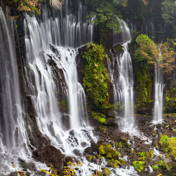 Water cascades at the Shiraito Falls in Fujinomiya, Shizuoka Prefecture, Japan