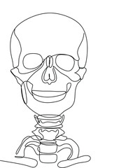 Human skeleton line