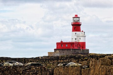 Lighthouse with seals